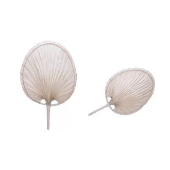 Legyező Pálmalevél 30cm 8-2503 (100/#)