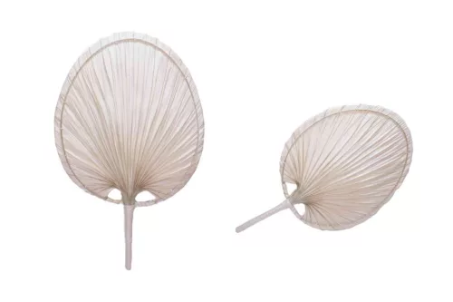 Legyező Pálmalevél 30cm 8-2503 (100/#)