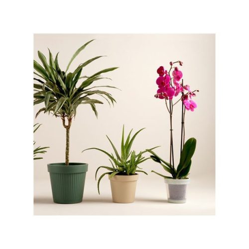 Cane Florentin White 90-22-57 - D18/24*H18/54cm