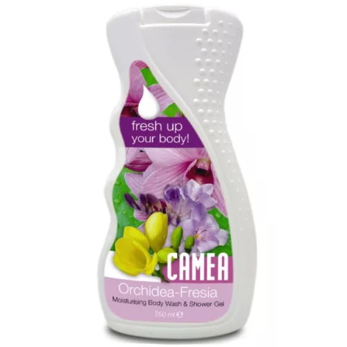 Folyékony Szappan Safeguard 500ml (6/#_720/rkl)