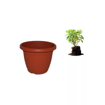Ghiveci de flori 50 cm Terra (10/#_150/rkl)