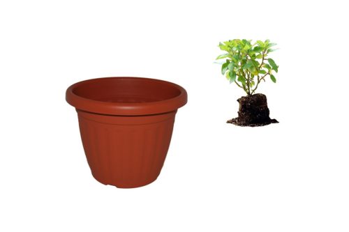 Virágcserép 50cm Terra (10/#_150/rkl)