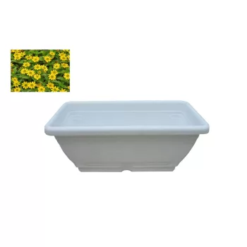 Cutie de flori cu tava Maghiara 40cm Alb