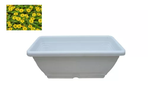 Cutie de flori cu tava Maghiara 40cm Alb