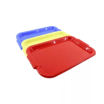 Tava Plastic Lux 31*44*3cm Sterk