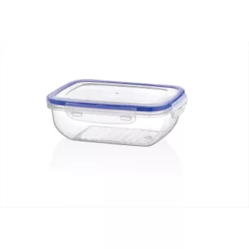 Cutie de depozitare Pat Patent Lock 4000ml BG-542